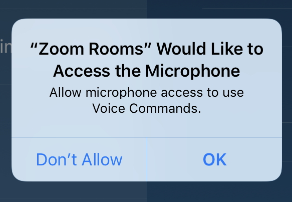 Zoom voice commands